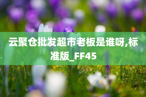 云聚仓批发超市老板是谁呀,标准版_FF45