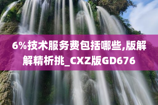 6%技术服务费包括哪些,版解解精析挑_CXZ版GD676