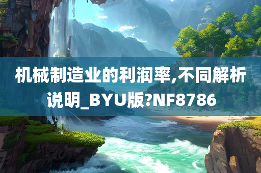 机械制造业的利润率,不同解析说明_BYU版?NF8786