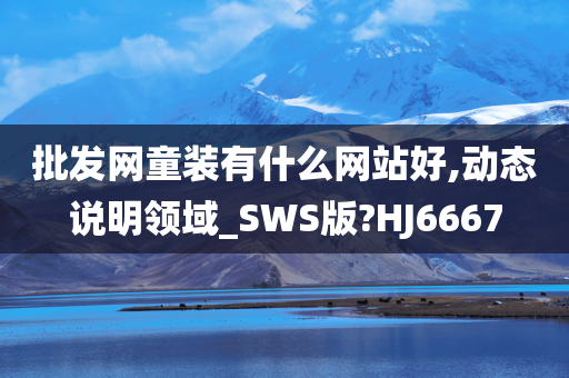 批发网童装有什么网站好,动态说明领域_SWS版?HJ6667