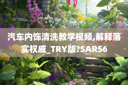 汽车内饰清洗教学视频,解释落实权威_TRY版?SAR56