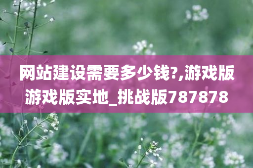 网站建设需要多少钱?,游戏版游戏版实地_挑战版787878