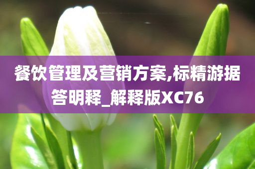 餐饮管理及营销方案,标精游据答明释_解释版XC76