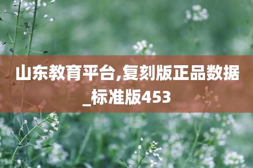 山东教育平台,复刻版正品数据_标准版453