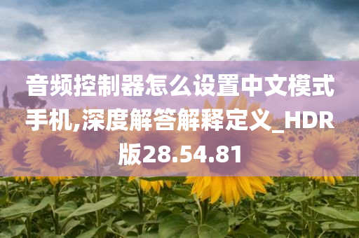 音频控制器怎么设置中文模式手机,深度解答解释定义_HDR版28.54.81