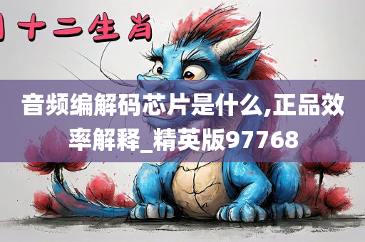 音频编解码芯片是什么,正品效率解释_精英版97768