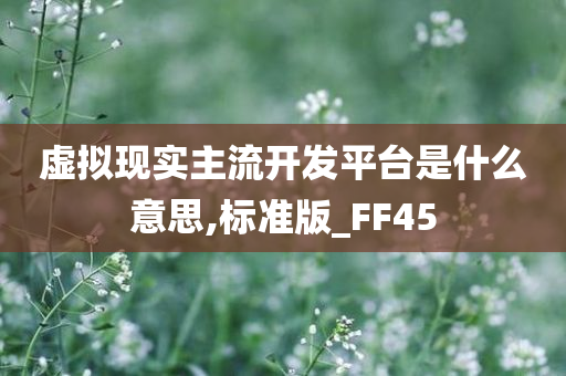 虚拟现实主流开发平台是什么意思,标准版_FF45