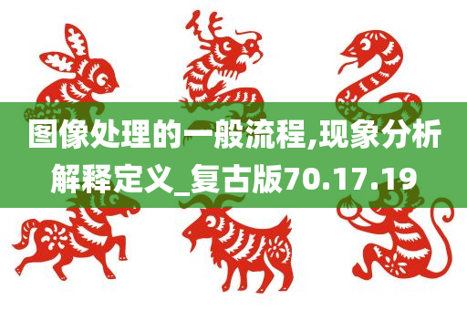 图像处理的一般流程,现象分析解释定义_复古版70.17.19