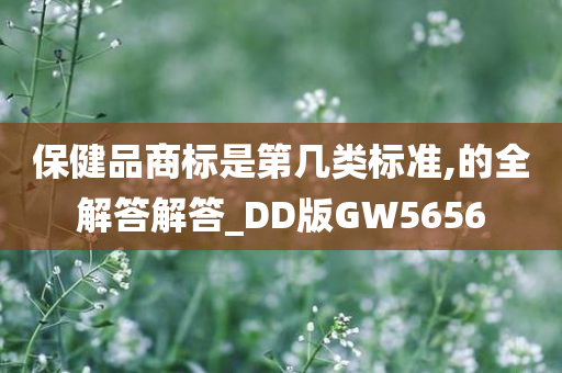 保健品商标是第几类标准,的全解答解答_DD版GW5656