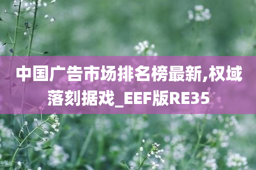 中国广告市场排名榜最新,权域落刻据戏_EEF版RE35