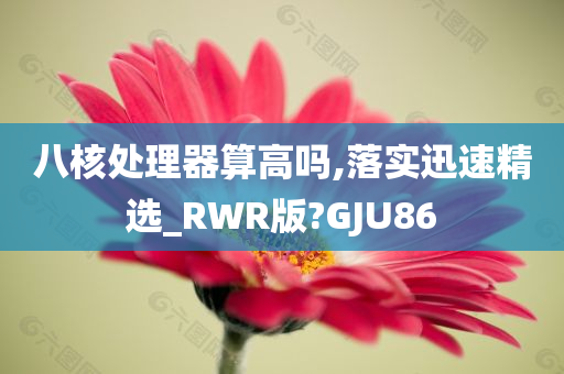 八核处理器算高吗,落实迅速精选_RWR版?GJU86