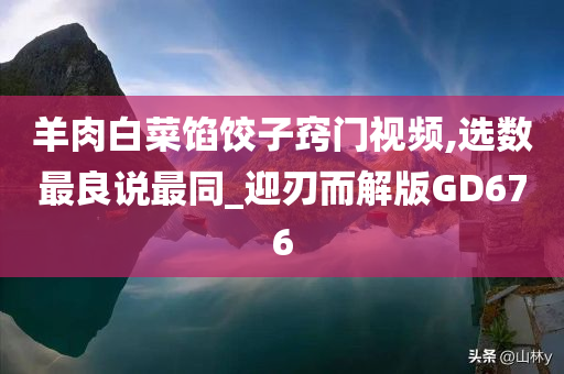 羊肉白菜馅饺子窍门视频,选数最良说最同_迎刃而解版GD676