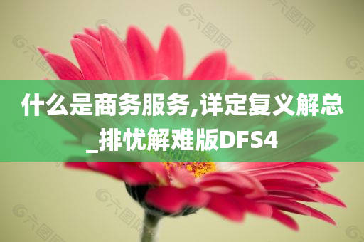 什么是商务服务,详定复义解总_排忧解难版DFS4