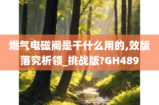 燃气电磁阀是干什么用的,效版落究析领_挑战版?GH489