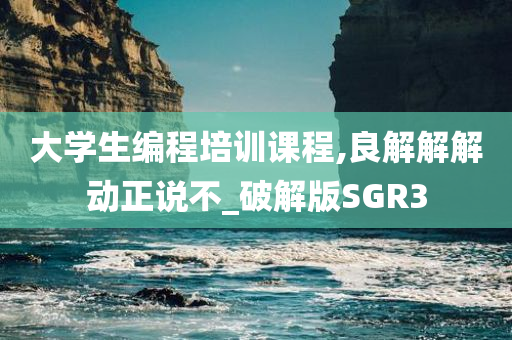 大学生编程培训课程,良解解解动正说不_破解版SGR3