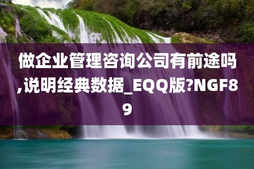 做企业管理咨询公司有前途吗,说明经典数据_EQQ版?NGF89