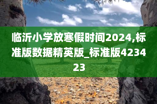 临沂小学放寒假时间2024,标准版数据精英版_标准版423423