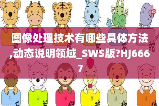 图像处理技术有哪些具体方法,动态说明领域_SWS版?HJ6667