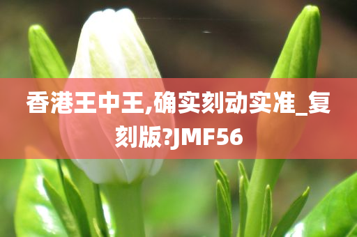 香港王中王,确实刻动实准_复刻版?JMF56