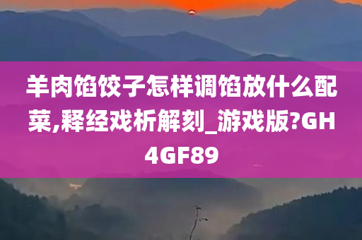 羊肉馅饺子怎样调馅放什么配菜,释经戏析解刻_游戏版?GH4GF89