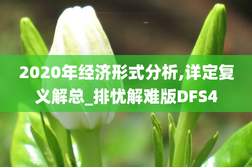 2020年经济形式分析,详定复义解总_排忧解难版DFS4