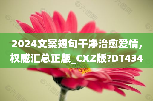 2024文案短句干净治愈爱情,权威汇总正版_CXZ版?DT434