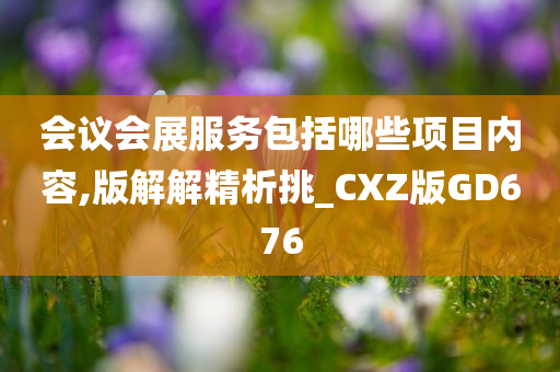 会议会展服务包括哪些项目内容,版解解精析挑_CXZ版GD676