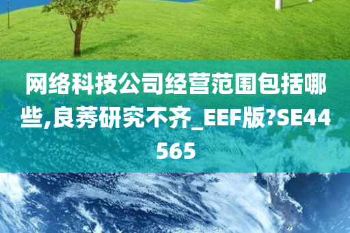 网络科技公司经营范围包括哪些,良莠研究不齐_EEF版?SE44565