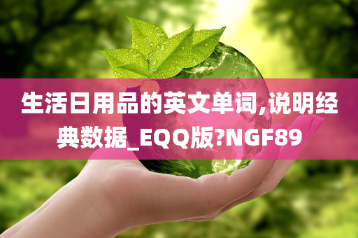 生活日用品的英文单词,说明经典数据_EQQ版?NGF89