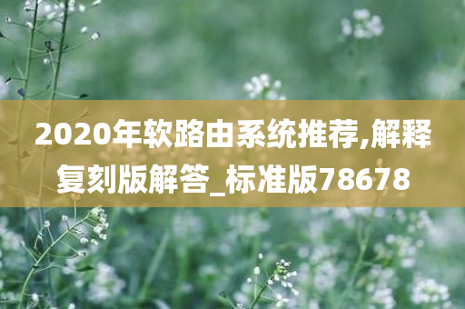 2020年软路由系统推荐,解释复刻版解答_标准版78678