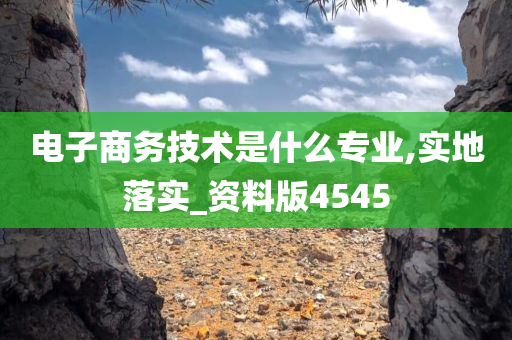 电子商务技术是什么专业,实地落实_资料版4545