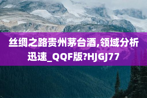 丝绸之路贵州茅台酒,领域分析迅速_QQF版?HJGJ77