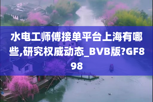 水电工师傅接单平台上海有哪些,研究权威动态_BVB版?GF898