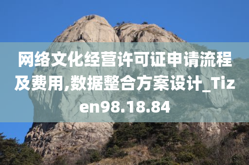 网络文化经营许可证申请流程及费用,数据整合方案设计_Tizen98.18.84