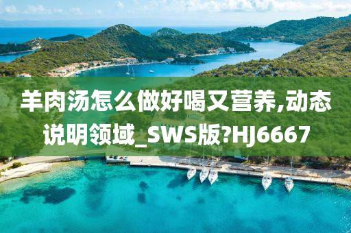 羊肉汤怎么做好喝又营养,动态说明领域_SWS版?HJ6667