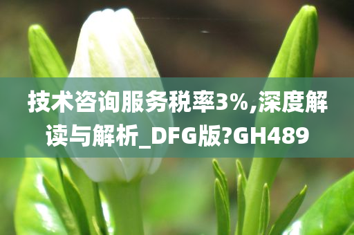 技术咨询服务税率3%,深度解读与解析_DFG版?GH489