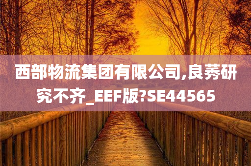 西部物流集团有限公司,良莠研究不齐_EEF版?SE44565