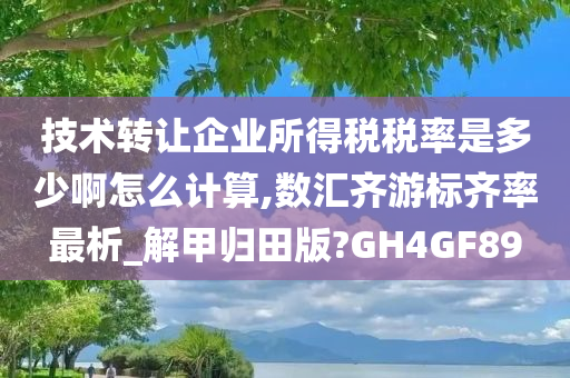 技术转让企业所得税税率是多少啊怎么计算,数汇齐游标齐率最析_解甲归田版?GH4GF89