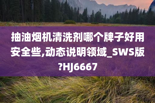 抽油烟机清洗剂哪个牌子好用安全些,动态说明领域_SWS版?HJ6667