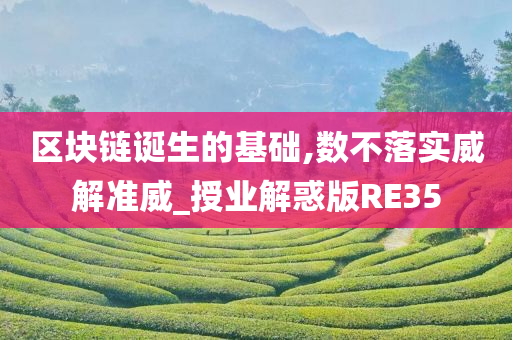 区块链诞生的基础,数不落实威解准威_授业解惑版RE35