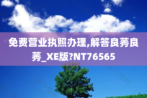 免费营业执照办理,解答良莠良莠_XE版?NT76565