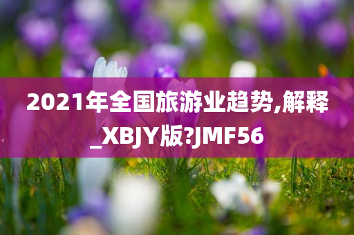 2021年全国旅游业趋势,解释_XBJY版?JMF56