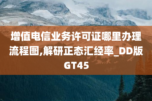 增值电信业务许可证哪里办理流程图,解研正态汇经率_DD版GT45