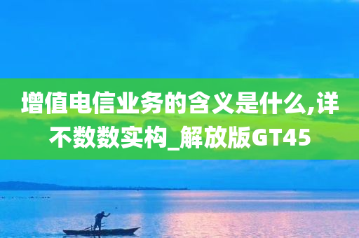 增值电信业务的含义是什么,详不数数实构_解放版GT45