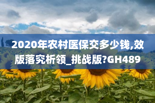 2020年农村医保交多少钱,效版落究析领_挑战版?GH489