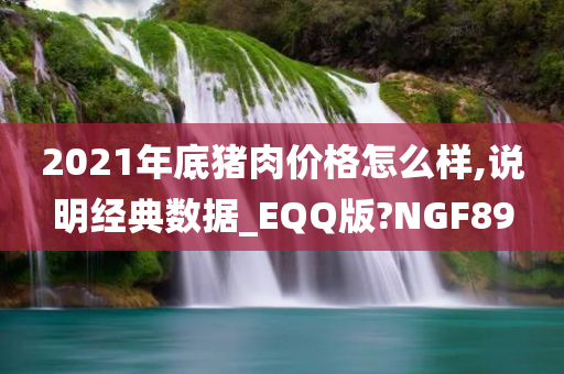 2021年底猪肉价格怎么样,说明经典数据_EQQ版?NGF89