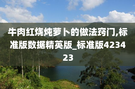 牛肉红烧炖萝卜的做法窍门,标准版数据精英版_标准版423423