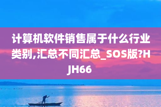 计算机软件销售属于什么行业类别,汇总不同汇总_SOS版?HJH66