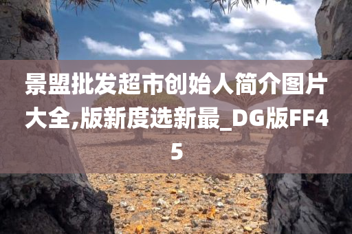 景盟批发超市创始人简介图片大全,版新度选新最_DG版FF45