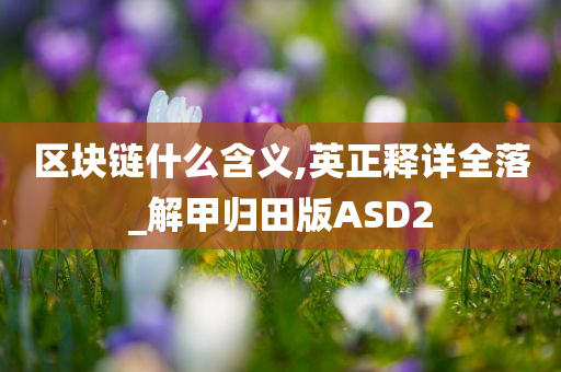 区块链什么含义,英正释详全落_解甲归田版ASD2